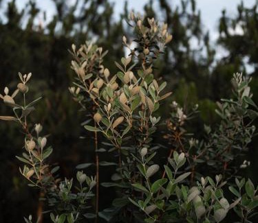 Nan An Hotel | Rediscover Mountain Lodge - Nanshan, Chongqing