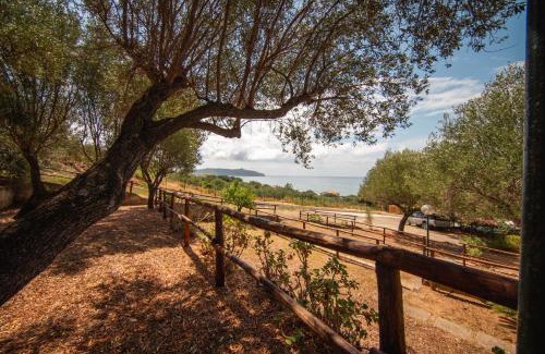 Marina di Pisciotta Other | Regina Villaggio Camping