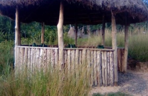 Kagano RV Rental | Relax, Reconnect, and Rejuvenate at ImuHira Campsite