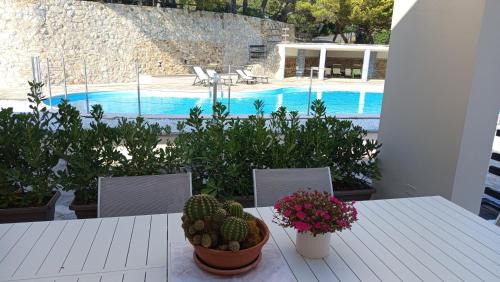 Rosignano Marittimo Apartment | Residence GambAleotto