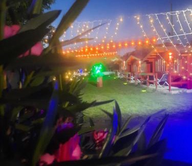 Joppolo Bed & Breakfast | Residence Il Tiglio