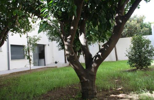 Camp Redo Other | Residencia Mayol - Adults Only