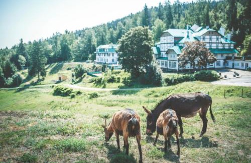 Dolni Brusnice Hotel | Retro hotel Pod Zvičinou