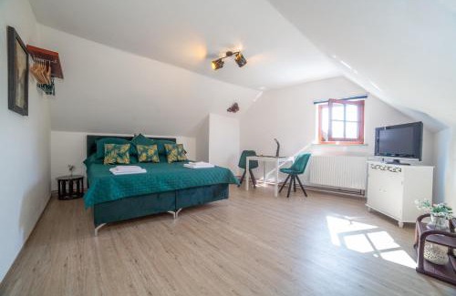 Cesky Krumlov House | Rezidence Plešivec - Rodinný Apartmán s 3 ložnicemi