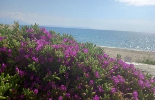 Asprovalta Bed & Breakfast | Rhapsody house