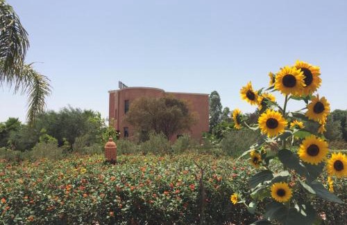 Nouaceur Bed & Breakfast | Riad Hamdani