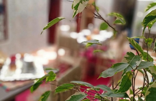 Bab Doukkala Bed & Breakfast | Riad Patrice