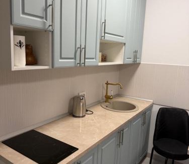 Sector 4 Apartment | Rin grand 1 room luxury