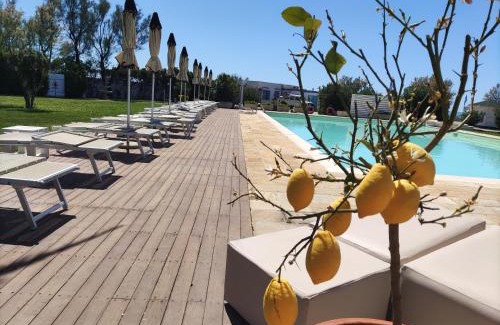 Ladispoli Hotel | Riva di Palo Beach Hotel