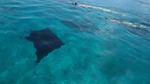 Mathiveri House | Riveli Retreat Mathiveri