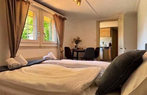 Interlaken Apartment | River 4-Kissed Retreat with Iconic Jungfraujoch View