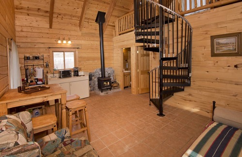 Pagosa Springs Cabin | River Home: secluded log cabin along San Juan River & MONTH-to-MONTH possible!