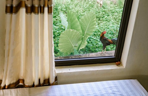 Phong Nha House | River Life Homestay