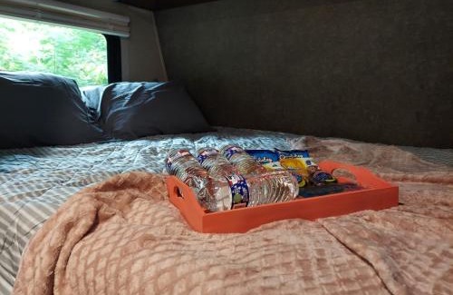 Chattanooga Other | River View RV