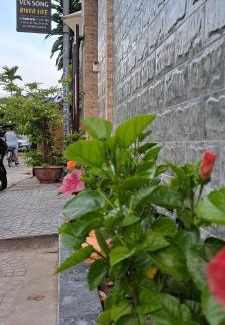 Cam Pho House | Riverlife Homestay
