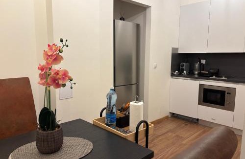 Vysehrad Apartment | Riverside apartment