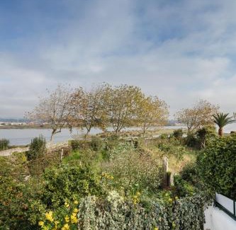 Fao House | Riverwindows