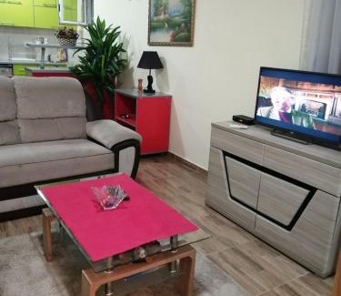 Rozino Apartment | Riviera Apartment Budva