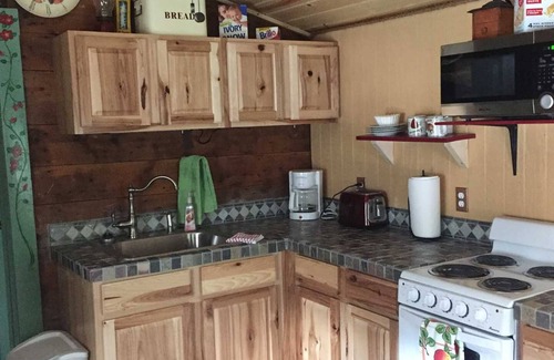 Lake City Cabin | Rocky Rose - One Block from Town!