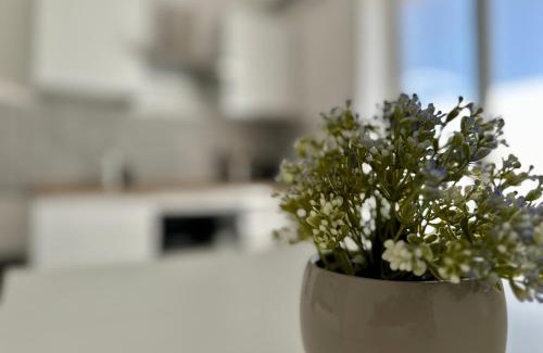 Casal Bertone Apartment | Roma nest appartamento vicino Stazione Tiburtina