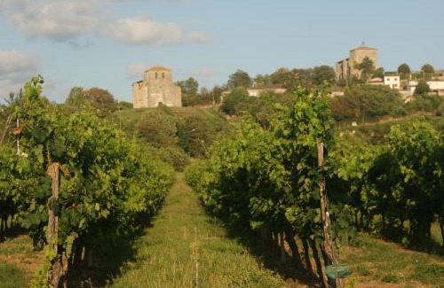 Pujols House | Romantic Gite nr St Emilion with Private Pool and Views to Die For