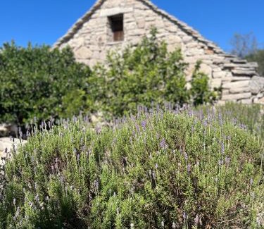 Veliki Drvenik House | Romantic stone house and yard near stunning beach