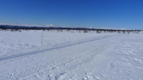 Rendalen House | Romenstad Hytter