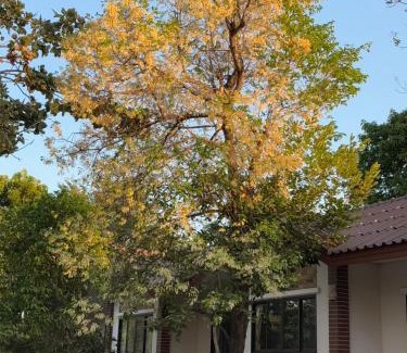 Nong Chaeng Resort | Rommaiplaitawan Resort