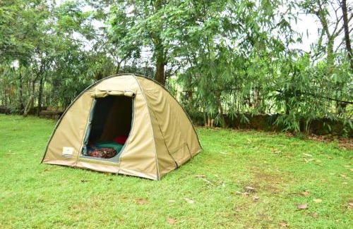 Nyakinama House | Room in BB - Red Rocks Rwanda - Tent Twin