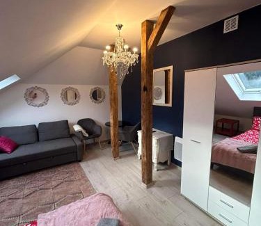 Ustrzyki Dolne Apartment | Ropienka ski micro