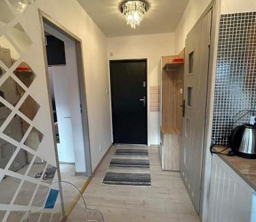 Ustrzyki Dolne Apartment | Ropienka ski micro