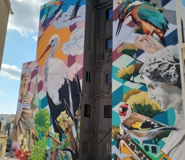 Paceville Bed & Breakfast | Rotas B