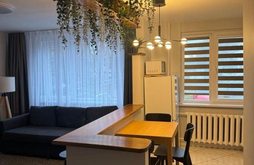 Birzai Apartment | ROTUŠĖS g 23 APARTMENTS IN THE CITY CENTER BIRŽAI