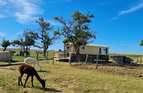 Burthecourt-aux-Chenes Other | Roulotte tout confort au milieu des animaux