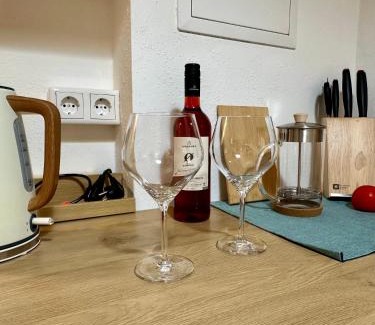 Friedrichstadt Apartment | Ruhig & Terrasse Dresden-Altstadt 3-Zimmer Wohnungen