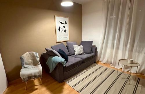 Friedrichstadt Apartment | Ruhig & Terrasse Dresden-Altstadt 3-Zimmer Wohnungen