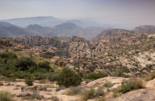 Dana Other | Rummana Campsite