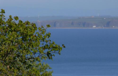 Greencastle Apartment | Rustic Log Cabin