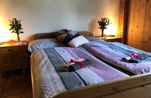 Nova Pec Apartment | Rustical Apartment in Sumava National Park