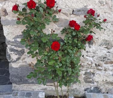 Gordola House | Rustico 'Casa Lupi'