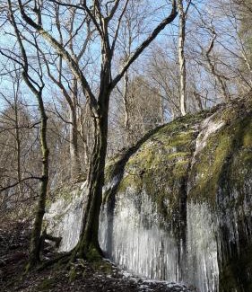 Eisenach Apartment | Sängerwiese
