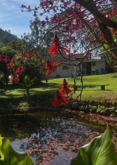 Domingos Martins House | Sítio - casa de campo -Rota imperial