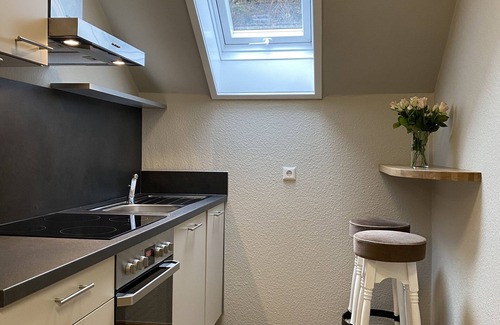 Schiltach Apartment | S-villa Apatment 50 im Schwarzwald