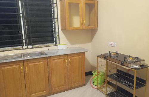 Tanga Apartment | Saadani Pangani camps and tours