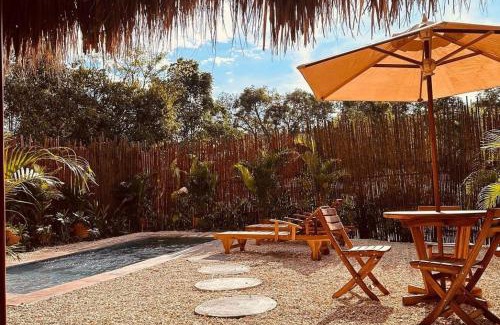 Nocaima Other | Saccharum