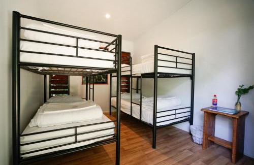 Cape Tribulation Cabin | Safari Lodge