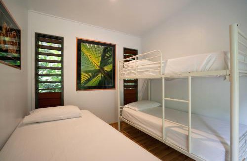 Cape Tribulation Cabin | Safari Lodge