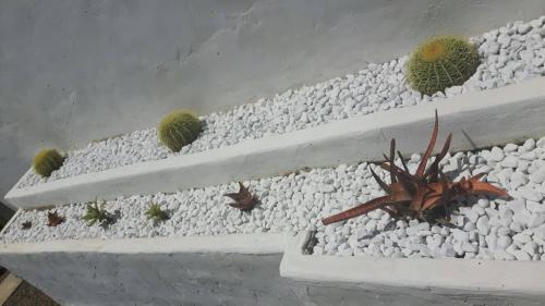 Quartu Sant'Elena House | Salmagilandia