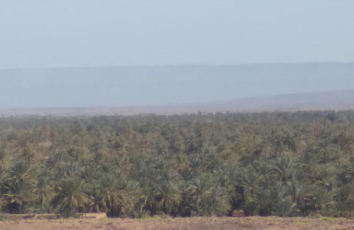 Zagora House | Salon agréable chez l'habitant