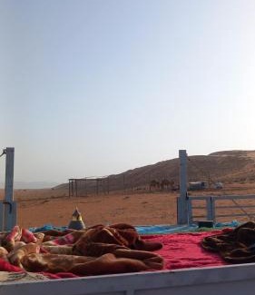 Bidiya Other | Sama Al Sharqiyah Camp